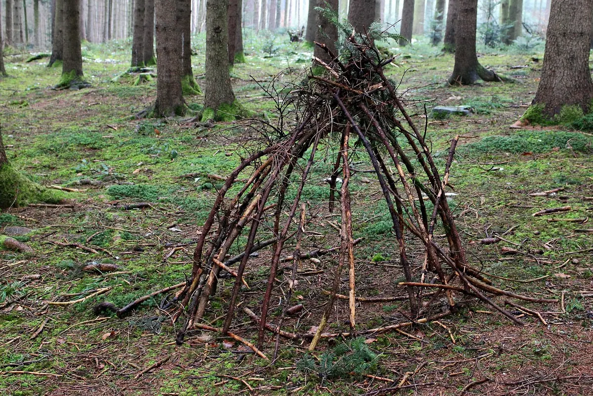 How to Build a Shelter in the Woods with Natural Materials
